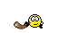 Horn